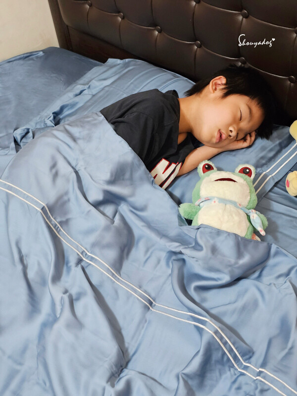 【睡眠寢具】合隆羽藏 Health Life 台灣百年寢具品