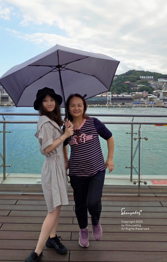 【生活用品】雨之情 輕大簡約時尚摺疊傘 137公分大傘面