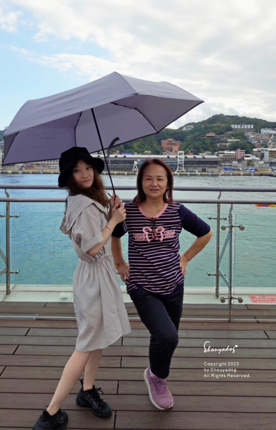 【生活用品】雨之情 輕大簡約時尚摺疊傘 137公分大傘面