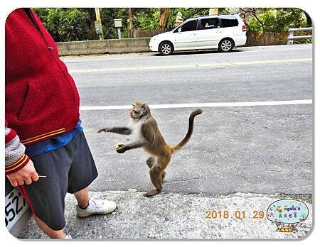 【屏東琉球景點】小琉球必訪景點•花瓶岩｜小琉球的重要地標之一｜浮潛熱門景點•與海龜相約