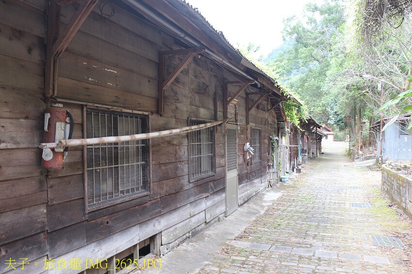 谷關泰好玩 山林生態愜意談 谷關泰好玩 山林生態愜意談