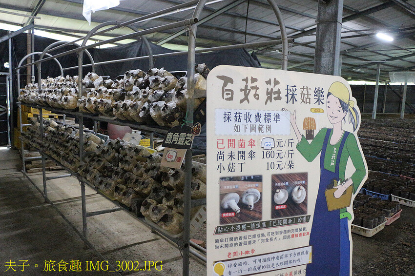 谷關泰好玩 山林生態愜意談 谷關泰好玩 山林生態愜意談