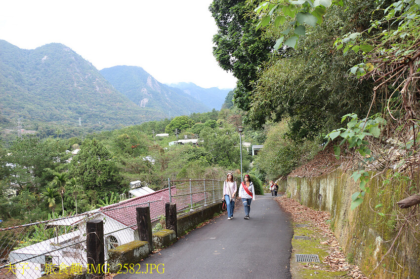 谷關泰好玩 山林生態愜意談 谷關泰好玩 山林生態愜意談