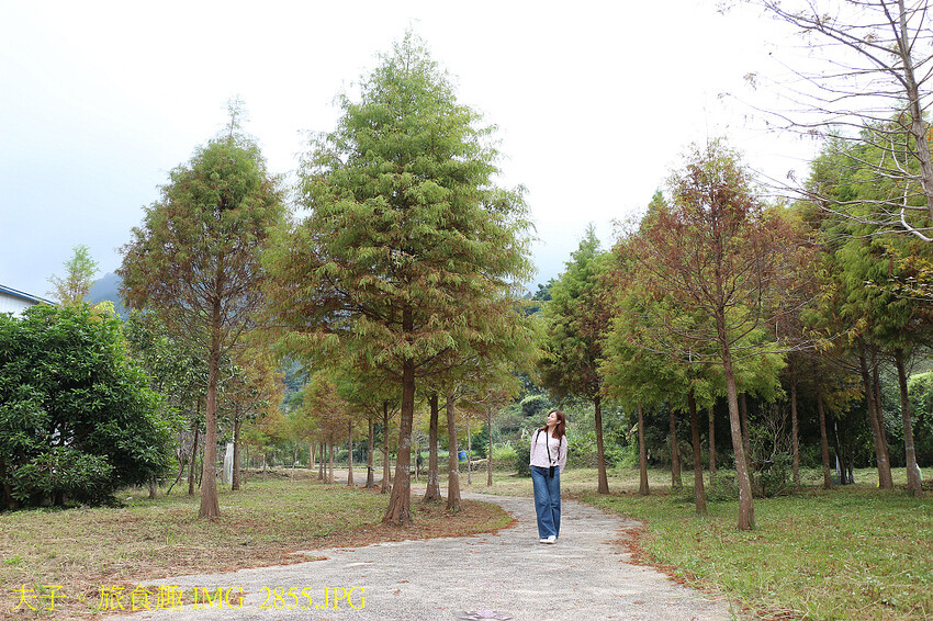 谷關泰好玩 山林生態愜意談 谷關泰好玩 山林生態愜意談