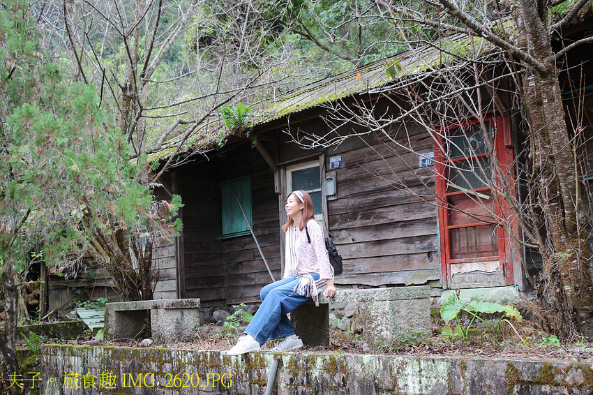 谷關泰好玩 山林生態愜意談 谷關泰好玩 山林生態愜意談