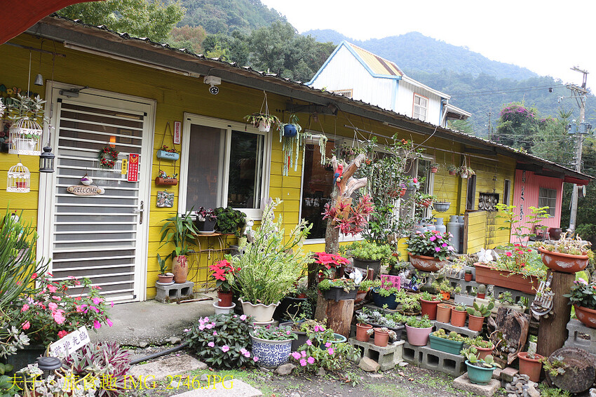 谷關泰好玩 山林生態愜意談 谷關泰好玩 山林生態愜意談
