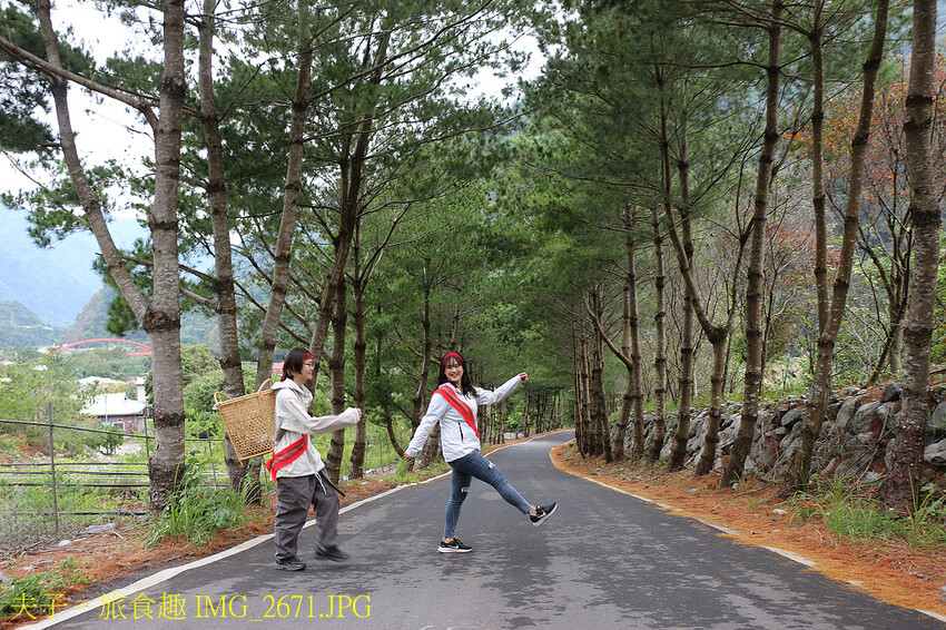 谷關泰好玩 山林生態愜意談 谷關泰好玩 山林生態愜意談