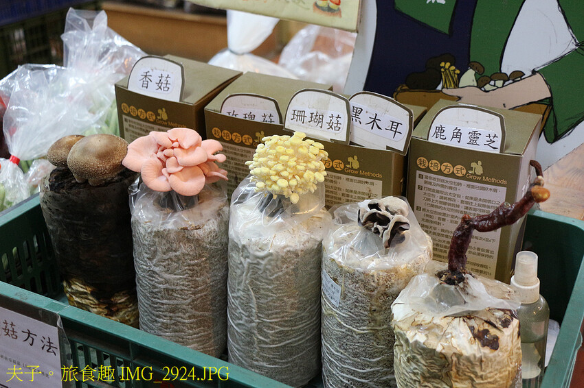 谷關泰好玩 山林生態愜意談 谷關泰好玩 山林生態愜意談