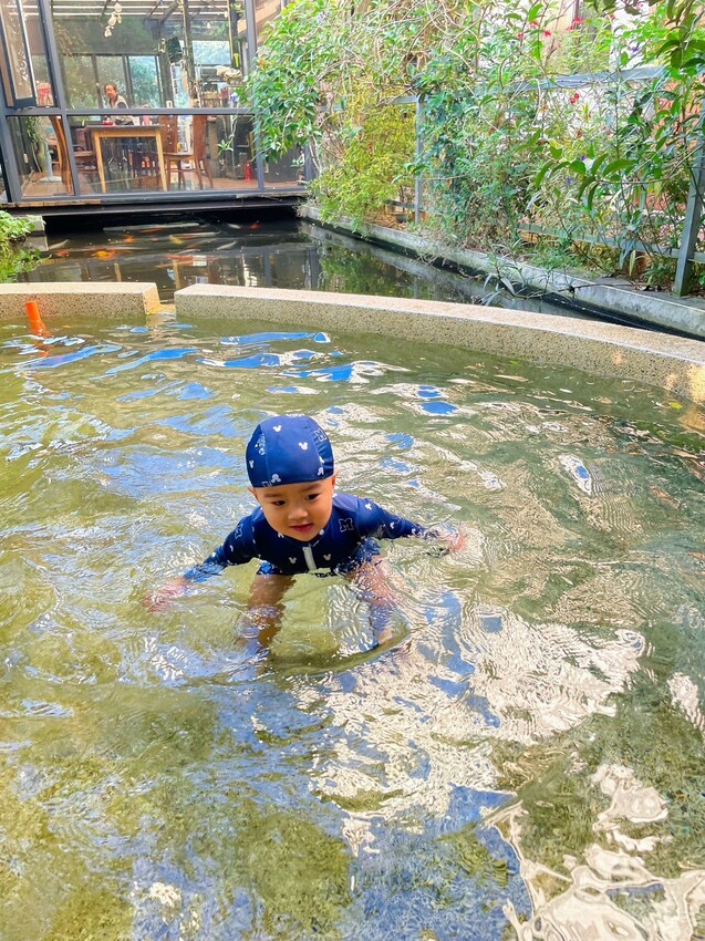 【南投住宿】埔里觀瀑渡假民宿-貓與瀑布的森呼吸旅宿，山嵐環繞美景，戲水池、KTV、餵魚、烤肉玩透透。