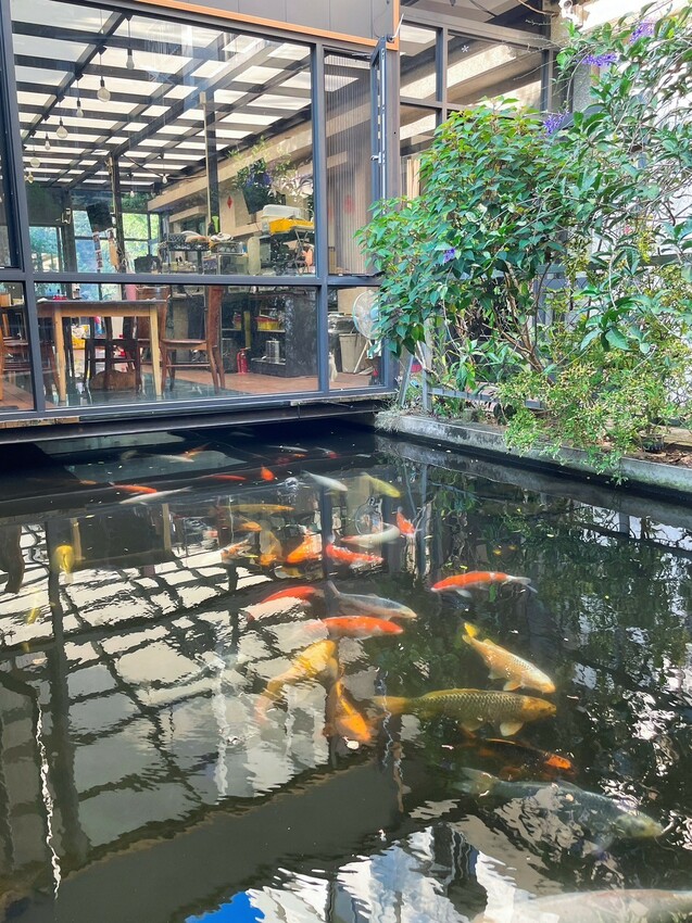 【南投住宿】埔里觀瀑渡假民宿-貓與瀑布的森呼吸旅宿，山嵐環繞美景，戲水池、KTV、餵魚、烤肉玩透透。