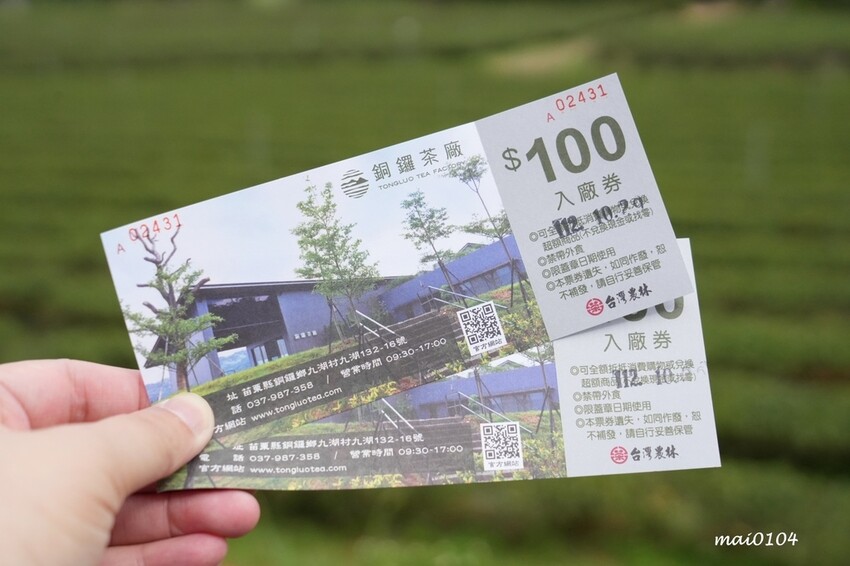 苗栗景點|苗栗銅鑼茶廠~不用跑到高山上也能享受茶園靜謐之美,提供免費停車場、每人入廠費100元可全額折