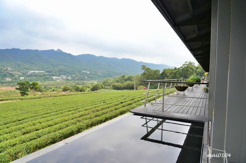 苗栗景點|苗栗銅鑼茶廠~不用跑到高山上也能享受茶園靜謐之美,提供免費停車場、每人入廠費100元可全額折