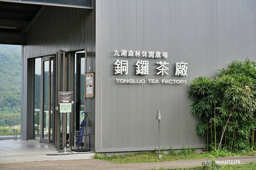 苗栗景點|苗栗銅鑼茶廠~不用跑到高山上也能享受茶園靜謐之美,提供免費停車場、每人入廠費100元可全額折