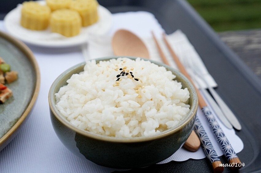 苗栗景點|苗栗銅鑼茶廠~不用跑到高山上也能享受茶園靜謐之美,提供免費停車場、每人入廠費100元可全額折
