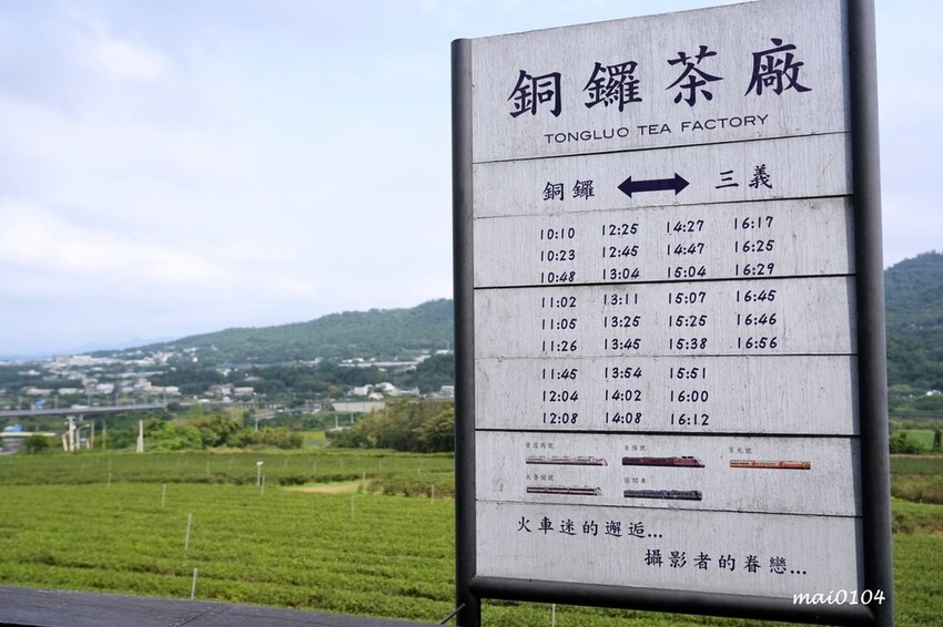 苗栗景點|苗栗銅鑼茶廠~不用跑到高山上也能享受茶園靜謐之美,提供免費停車場、每人入廠費100元可全額折