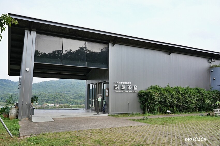 苗栗景點|苗栗銅鑼茶廠~不用跑到高山上也能享受茶園靜謐之美,提供免費停車場、每人入廠費100元可全額折
