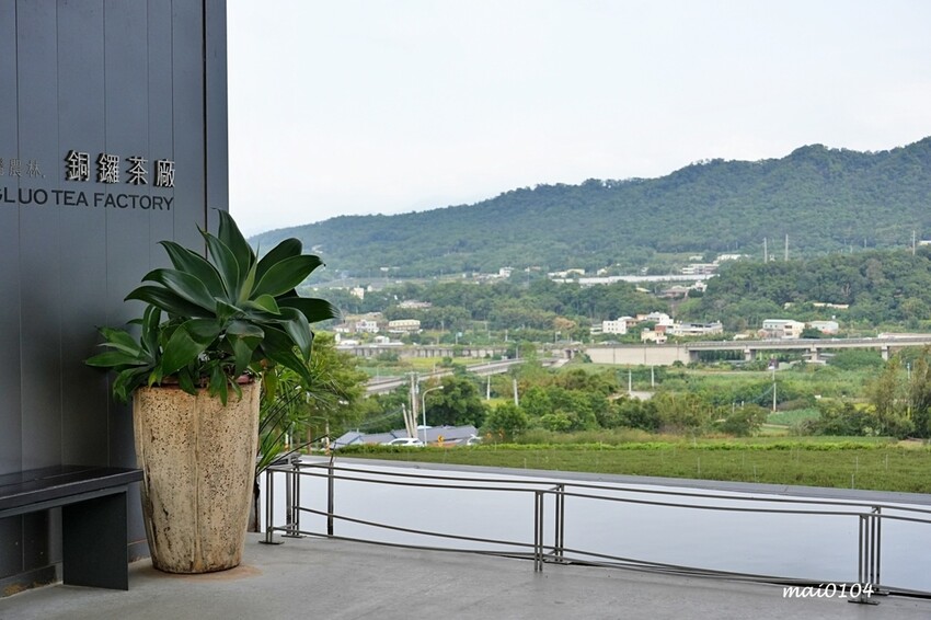 苗栗景點|苗栗銅鑼茶廠~不用跑到高山上也能享受茶園靜謐之美,提供免費停車場、每人入廠費100元可全額折