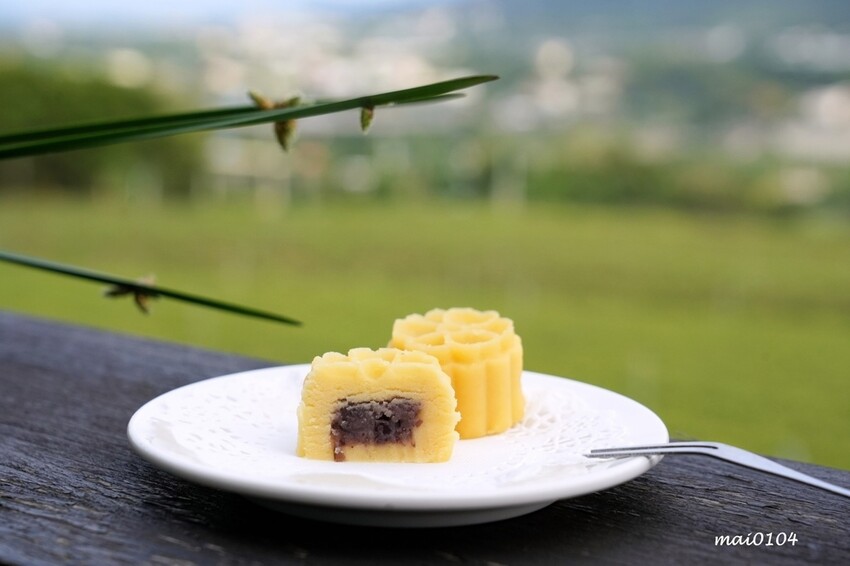 苗栗景點|苗栗銅鑼茶廠~不用跑到高山上也能享受茶園靜謐之美,提供免費停車場、每人入廠費100元可全額折