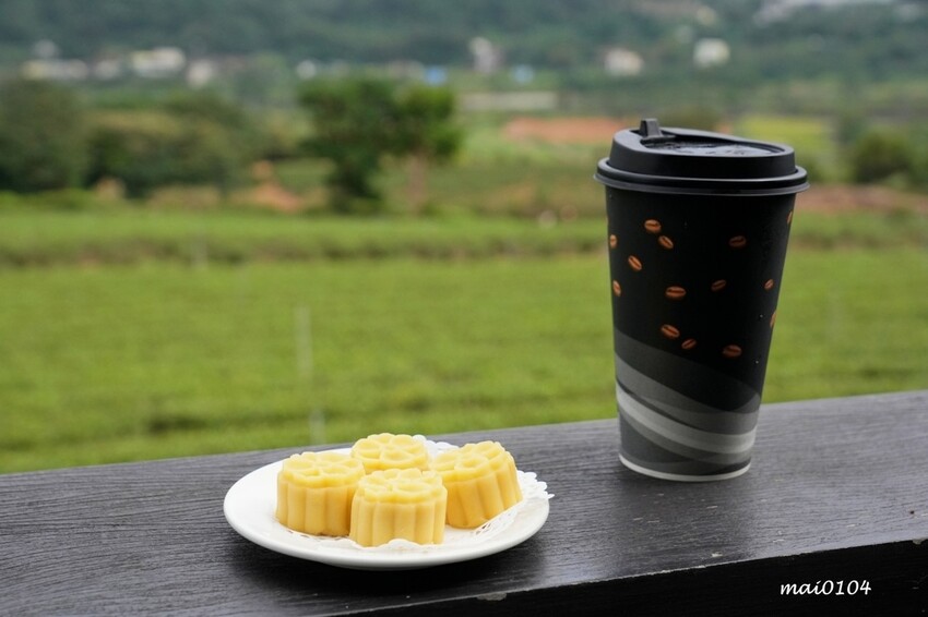 苗栗景點|苗栗銅鑼茶廠~不用跑到高山上也能享受茶園靜謐之美,提供免費停車場、每人入廠費100元可全額折
