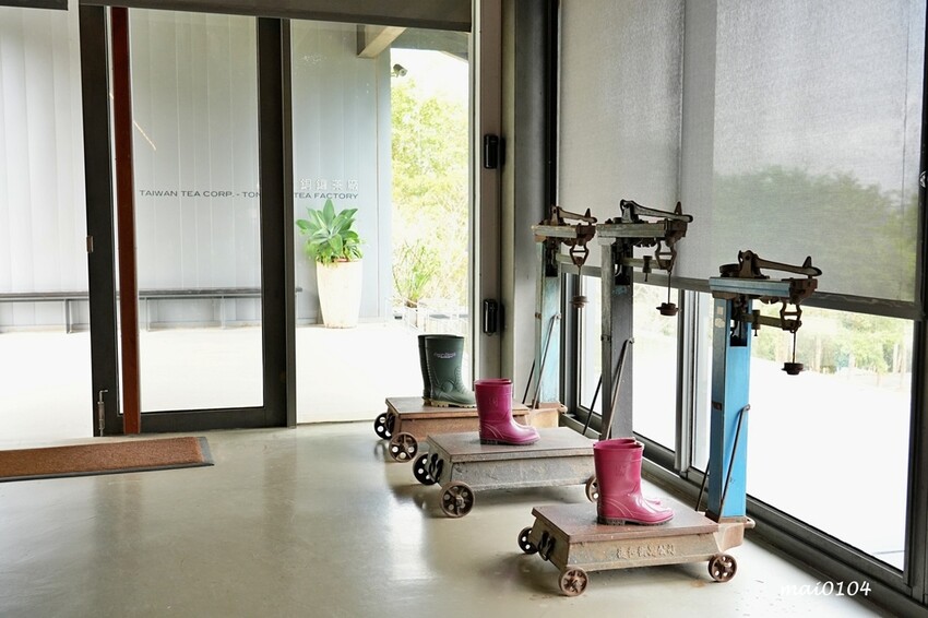 苗栗景點|苗栗銅鑼茶廠~不用跑到高山上也能享受茶園靜謐之美,提供免費停車場、每人入廠費100元可全額折