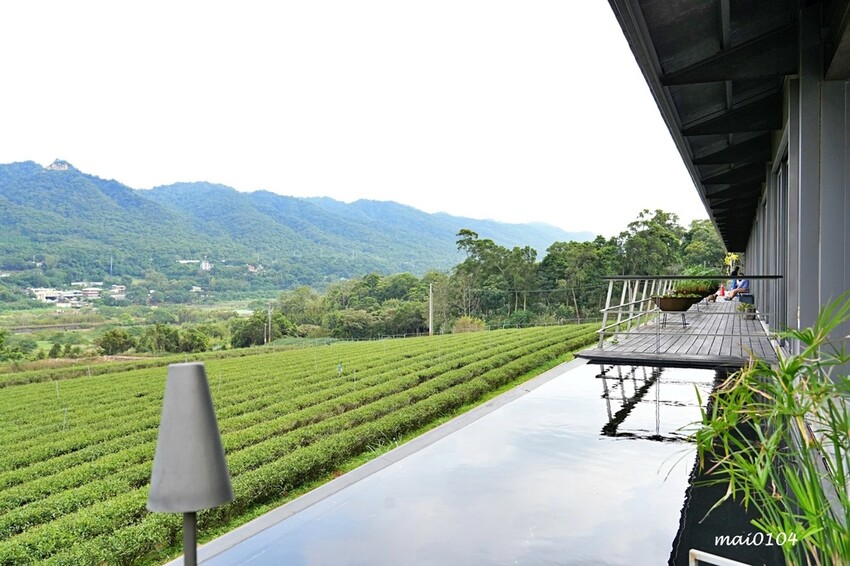 苗栗景點|苗栗銅鑼茶廠~不用跑到高山上也能享受茶園靜謐之美,提供免費停車場、每人入廠費100元可全額折