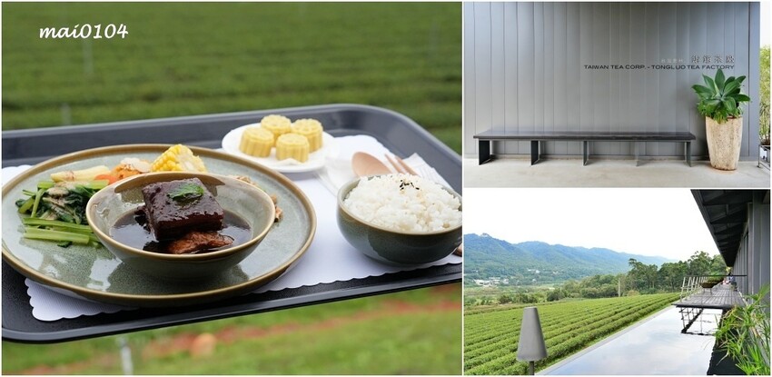 苗栗景點|苗栗銅鑼茶廠~不用跑到高山上也能享受茶園靜謐之美,提供免費停車場、每人入廠費100元可全額折