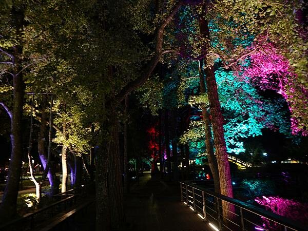 2023-慈湖夜來香水舞 (1).JPG