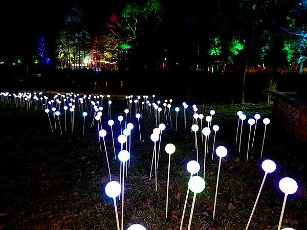 2023-慈湖夜來香水舞 (3).JPG