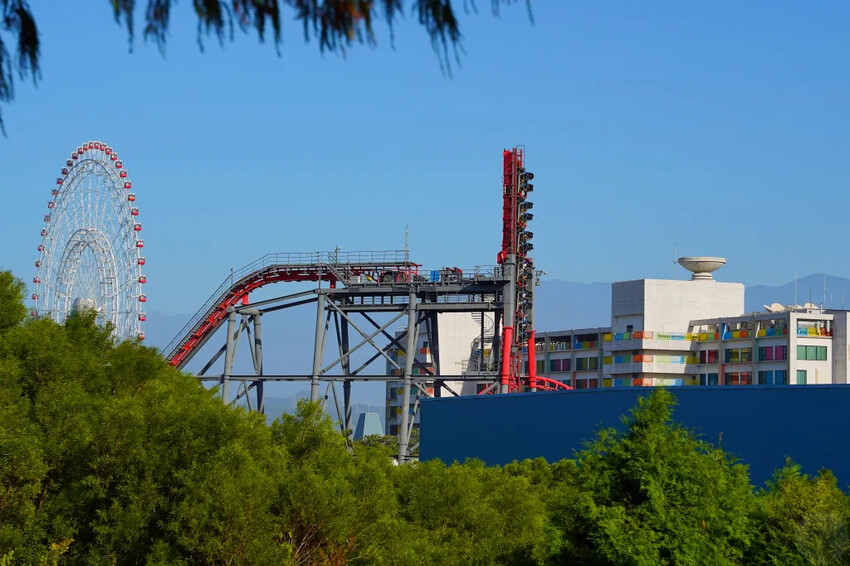 后里落羽松大道,延綿約1公里私房秘境落羽松大道,兩側落羽松免費參觀