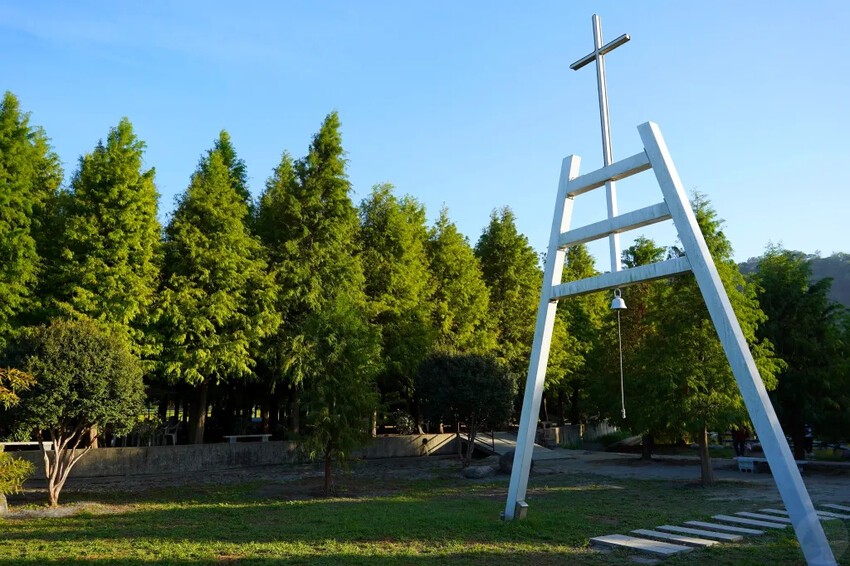 泰安落羽松，羽粼落羽松，又到了落羽松季節囉!