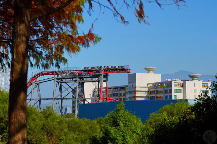 后里落羽松大道,延綿約1公里私房秘境落羽松大道,兩側落羽松免費參觀