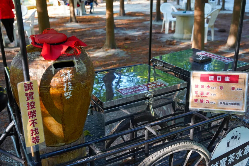 泰安落羽松，羽粼落羽松，又到了落羽松季節囉!