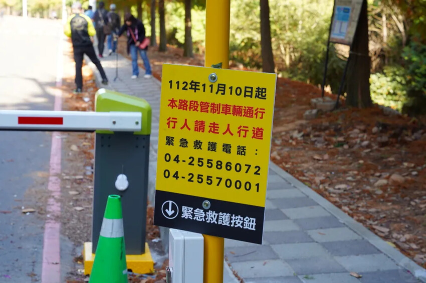 后里落羽松大道,延綿約1公里私房秘境落羽松大道,兩側落羽松免費參觀