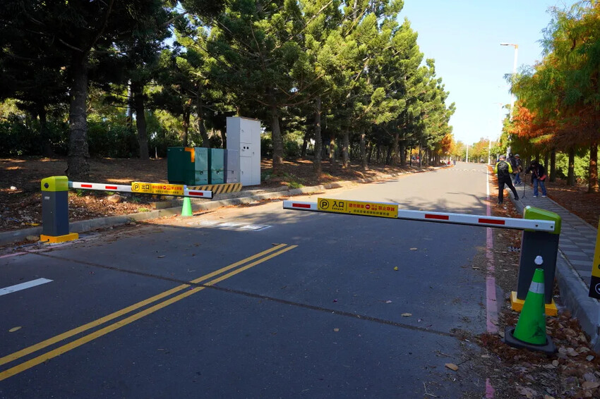 后里落羽松大道,延綿約1公里私房秘境落羽松大道,兩側落羽松免費參觀