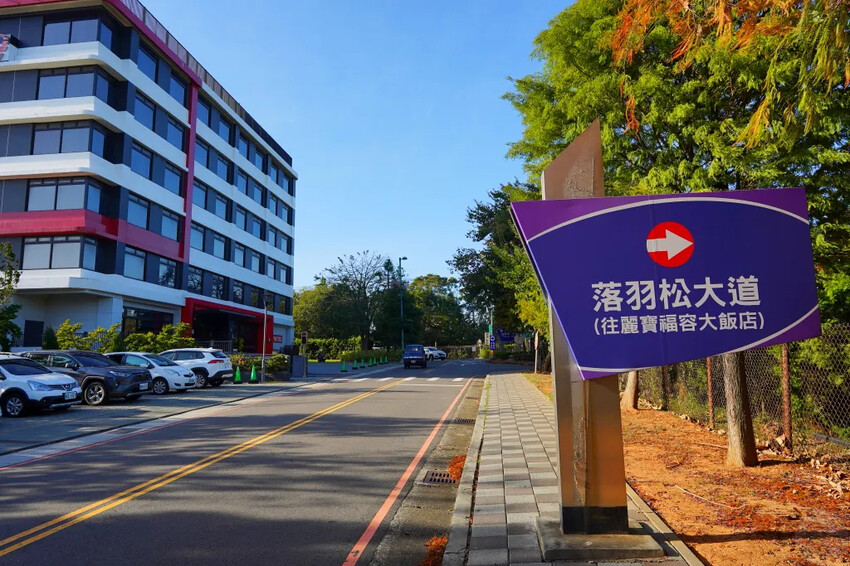 后里落羽松大道,延綿約1公里私房秘境落羽松大道,兩側落羽松免費參觀