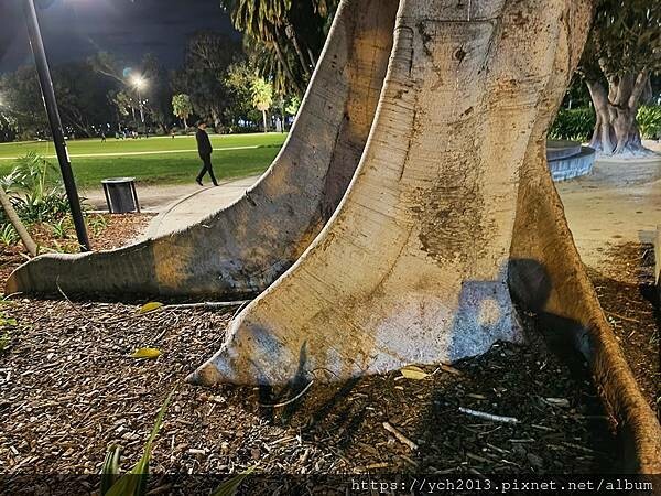 西澳柏斯天鵝河畔伊莉莎白碼頭 西澳柏斯天鵝河畔伊莉莎白碼頭