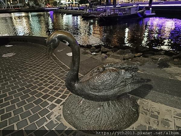 西澳柏斯天鵝河畔伊莉莎白碼頭 西澳柏斯天鵝河畔伊莉莎白碼頭