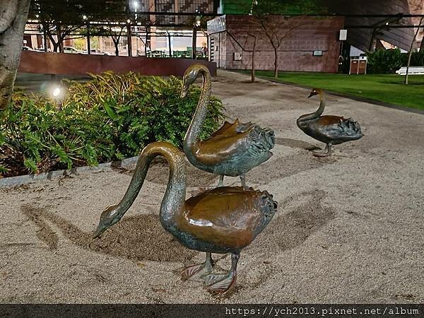 西澳柏斯天鵝河畔伊莉莎白碼頭 西澳柏斯天鵝河畔伊莉莎白碼頭