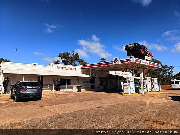 西澳旅遊/伯斯往東/一望無際油菜花田與麥田/休息站巧遇羊駝與
