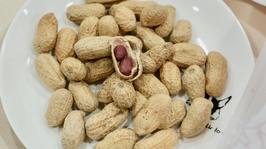 雲林花生季這樣玩！雲林好吃好玩購物行程推薦～元長／虎尾／北港一次玩透透！