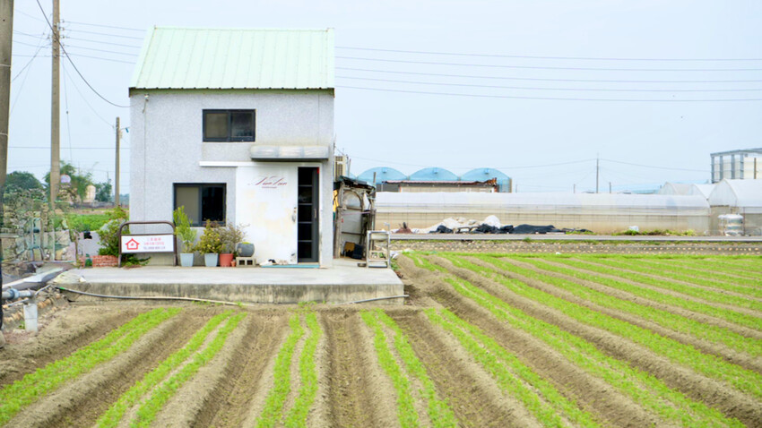 雲林花生季這樣玩！雲林好吃好玩購物行程推薦～元長／虎尾／北港一次玩透透！