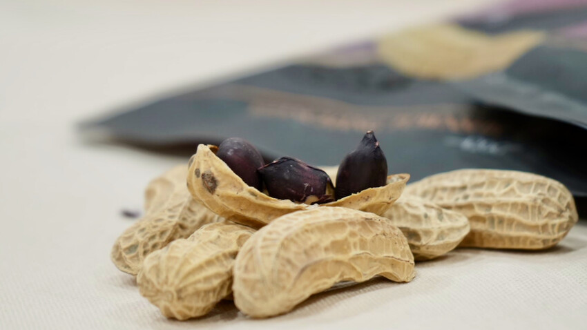 雲林花生季這樣玩！雲林好吃好玩購物行程推薦～元長／虎尾／北港一次玩透透！