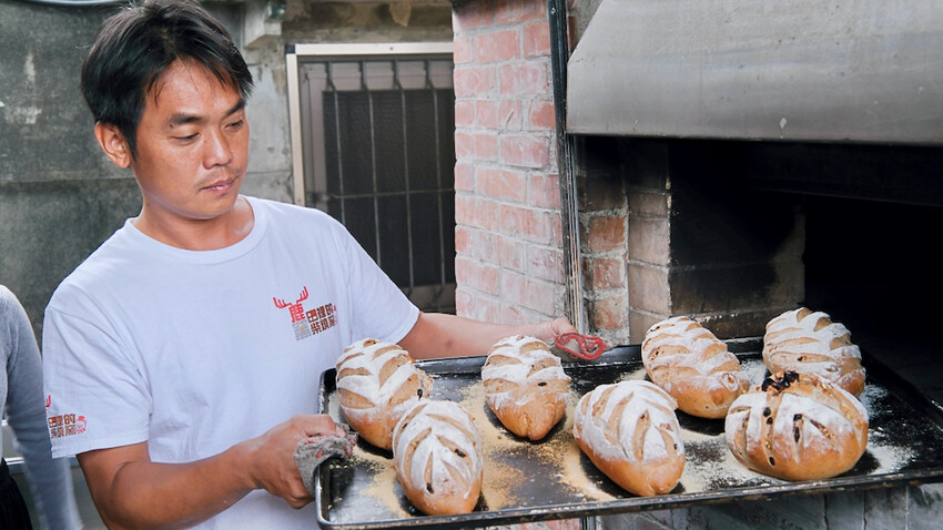 雲林花生季這樣玩！雲林好吃好玩購物行程推薦～元長／虎尾／北港一次玩透透！