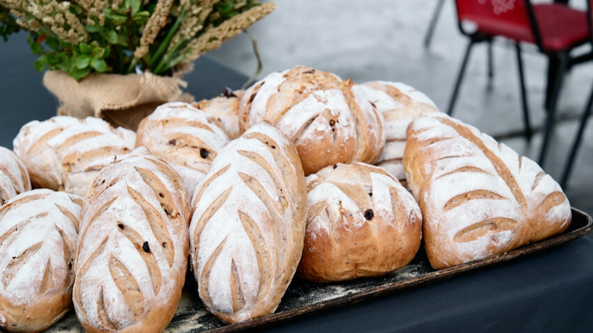 雲林花生季這樣玩！雲林好吃好玩購物行程推薦～元長／虎尾／北港一次玩透透！