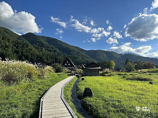 【合掌村一日遊】童話般的聖地,秋天也很有魅力|柴貓趴趴走