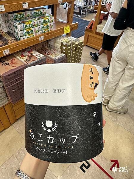 【名古屋】蛭野高原休息站｜伴手禮大集合，看的到美景休息站｜柴