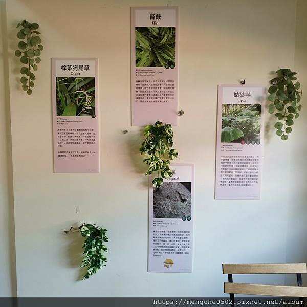 台中霧峰光復新村原流新創聚落一日體驗,不用到深山就可以漫遊了解原住民文化與美食