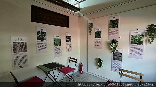 台中霧峰光復新村原流新創聚落一日體驗,不用到深山就可以漫遊了解原住民文化與美食