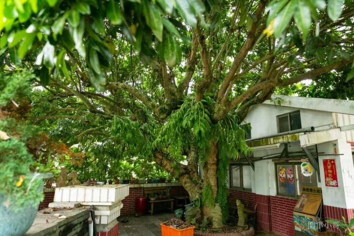 苗栗獅潭一日遊就該這樣玩!輕鬆愜意遊走山城,要參加獅潭一日遊的同學請跟著我來吧~(拿出導遊旗 @圍事小哥的幸福相框