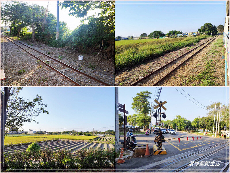 溪湖糖廠(溪湖鐵道文化園區)-彰化/搭乘懷舊五分車~超人氣伴手禮乳酪蛋糕x冰淇淋也必買!